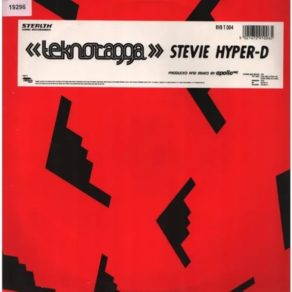 Teknoragga