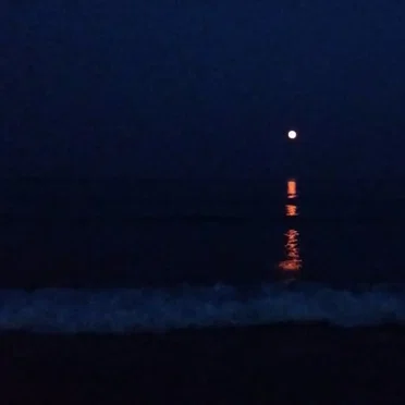 Tired of Feeling Sick