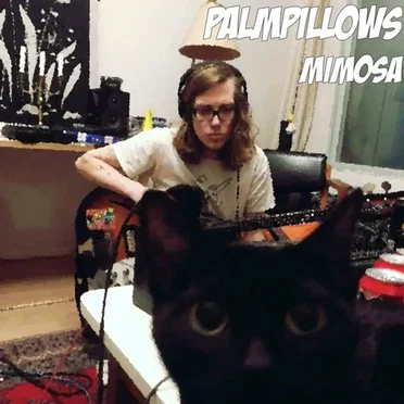 Mimosa