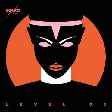Senso Sounds Level 06 by Various Artists - album cover