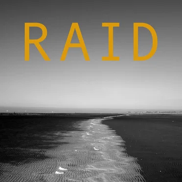 Raid