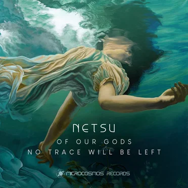 Of Our Gods No Trace Will Be Left by Netsu - album cover