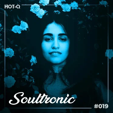Soultronic 019 by Various Artists - album cover