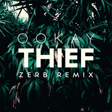 Thief (Zerb remix)