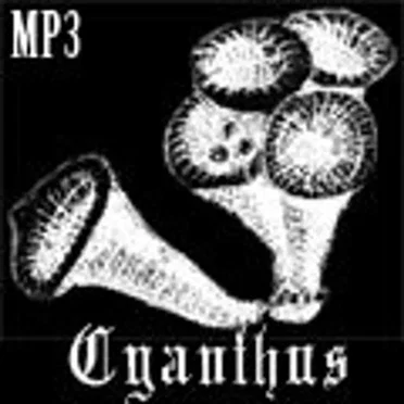 Cyanthus: Extended Title theme by Nobuyuki - album cover