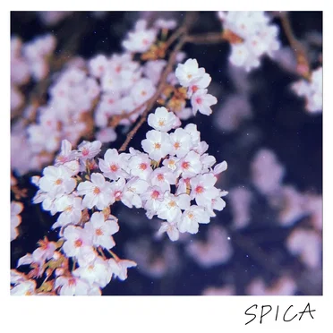 SPICA by Faulieu. - album cover