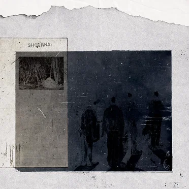 Shoganai by Shoganai - album cover