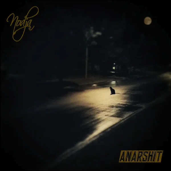 Anarshit