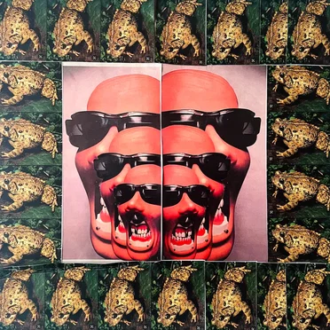 Oxygenate The Toad by Teeth Agency - album cover
