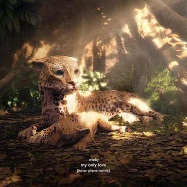 My Only Love (dj poolboi + Lunar Plane remixes)