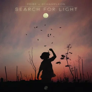 Search for Light