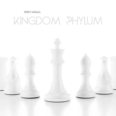 Kingdom Phylum by Spirit Animal - album cover