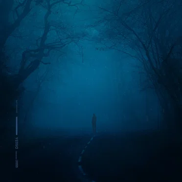 snowfall (slowed + reverb)