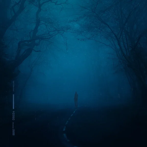 snowfall (slowed + reverb)