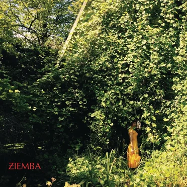 Hope is Never by Ziemba - album cover