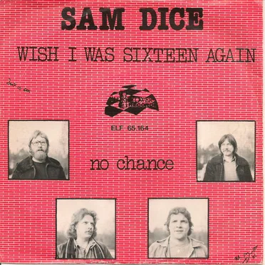 Wish I Was Sixteen Again