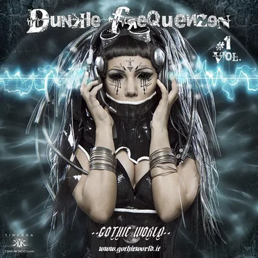 Dunkle Frequenzen Vol. 1 by Various Artists - album cover