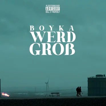 Werd groß by Boyka - album cover