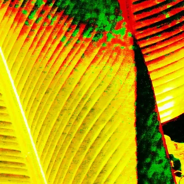 X Stendell’s Destrukt Remixes