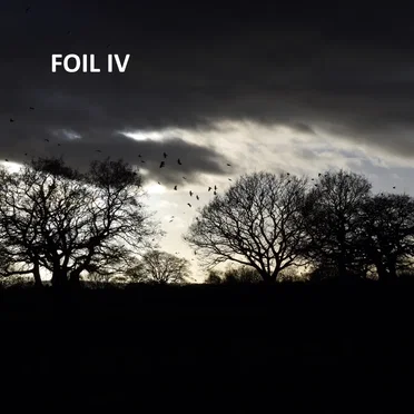 Foil IV