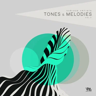 Tones & Melodies Vol. 5 by Various Artists - album cover