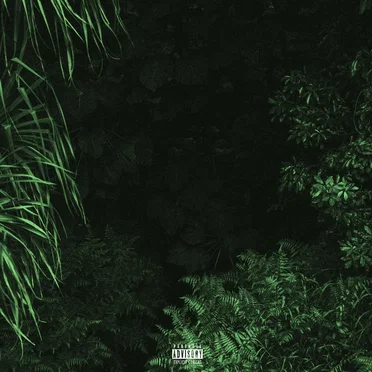 Forest Green by Joka - album cover