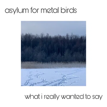 What I Really Wanted To Say by Asylum For Metal Birds - album cover