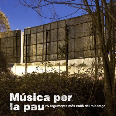 Música per la pau: 25 arguments més enllà del missatge by Various Artists - album cover
