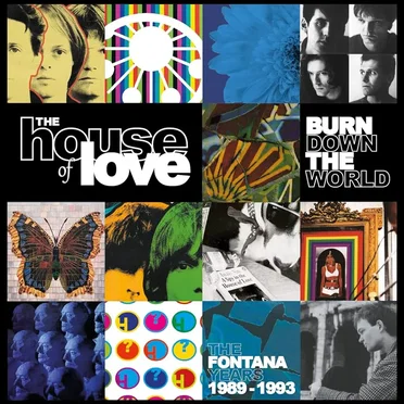 Burn Down the World - The Fontana Years 1989-1993