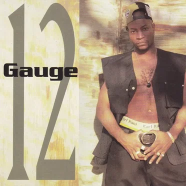 12 Gauge by 12 Gauge - album cover