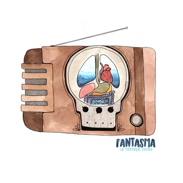 Fantasma by La Tortuga China - album cover