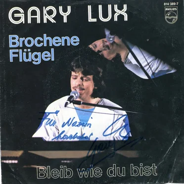 Brochene Flügel / Bleib wie du bist
