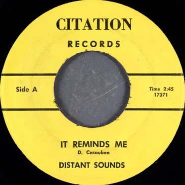It Reminds Me by Distant Sounds - album cover