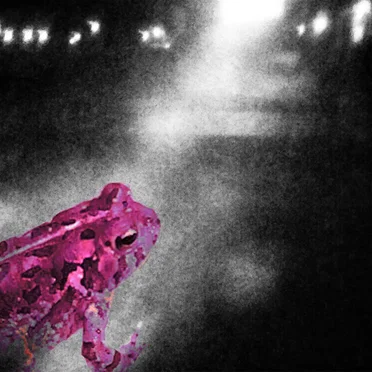 Path of the Pinktoad