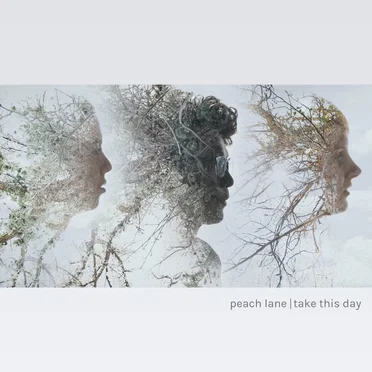Take This Day by Peach Lane - album cover