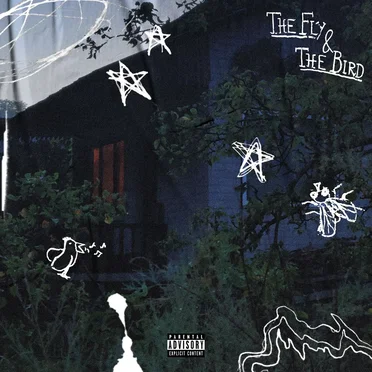 The Fly & The Bird