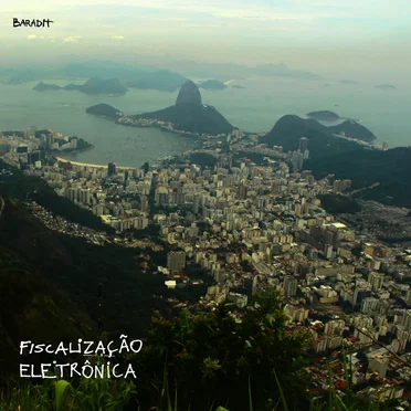 Fiscalização Eletrônica