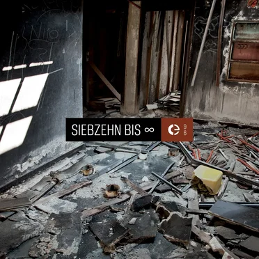 Siebzehn bis ∞ by Various Artists - album cover