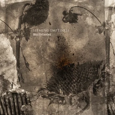 Bliss Entombed by Seeming Emptiness - album cover