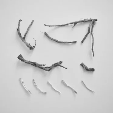 These Charms May Be Sung Over a Wound
