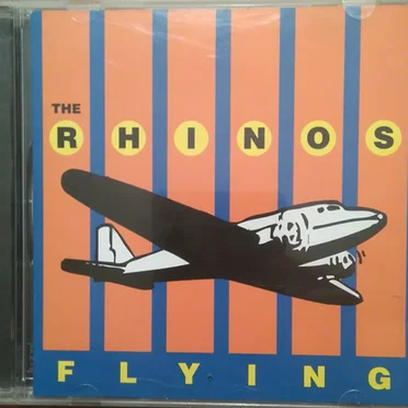 Flying