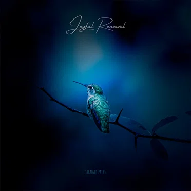 Joyful Renewal by Straight Paths - album cover