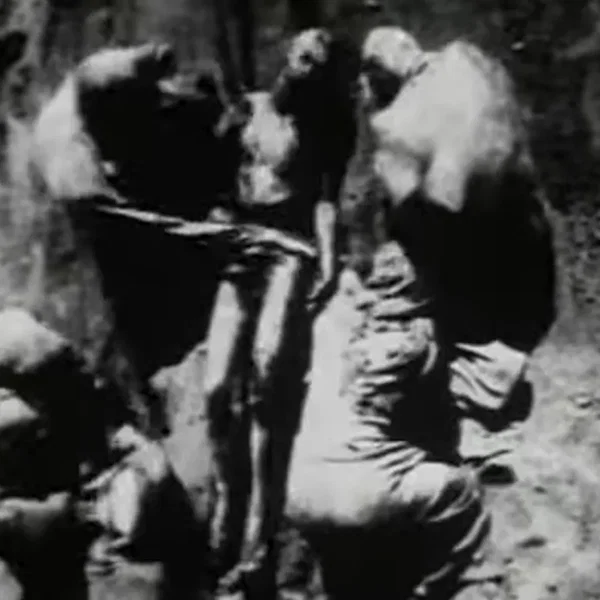 Begotten Chapter V