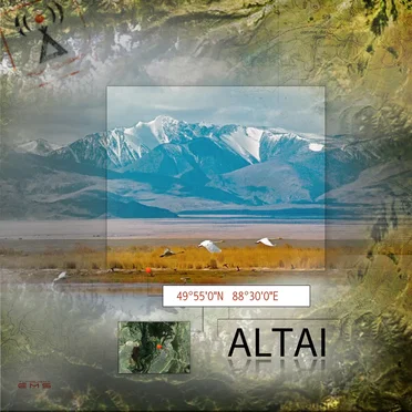 Point: Altai by Tunguska Electronic Music Society - album cover