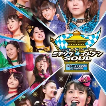 モーニング娘。コンサートツアー2013春 ミチシゲ☆イレブンSOUL 〜田中れいな卒業記念日〜 in日本武道館