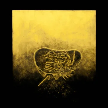 Ballast by Luna Honey - album cover