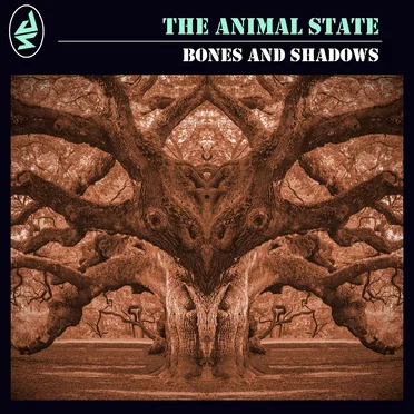 Bones and Shadows by The Animal State - album cover