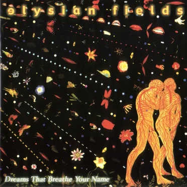 Dreams That Breathe Your Name by Elysian Fields - album cover
