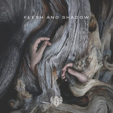 Flesh and Shadow by scarlet veil - album cover