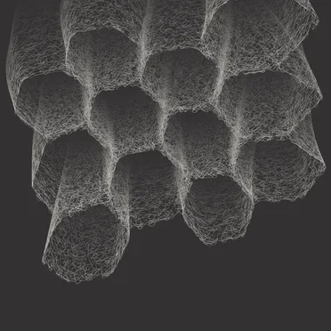 Negentropy [1/3]: Foundations